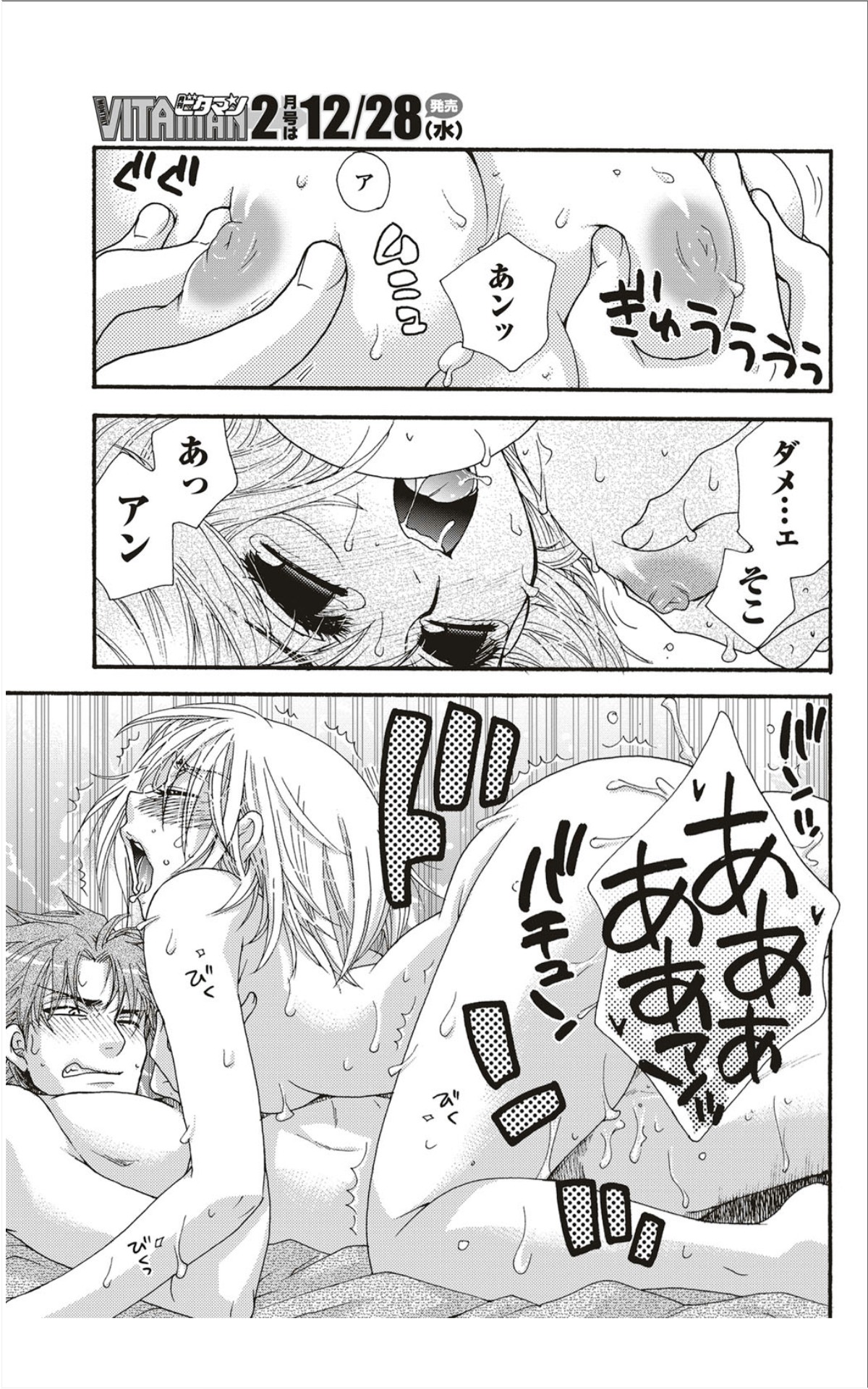 月刊 ビタマン 2012年1月号