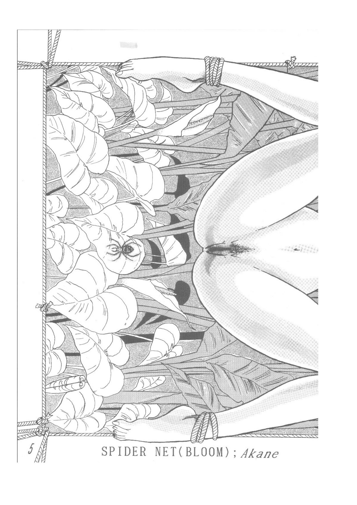 パパマンゴー