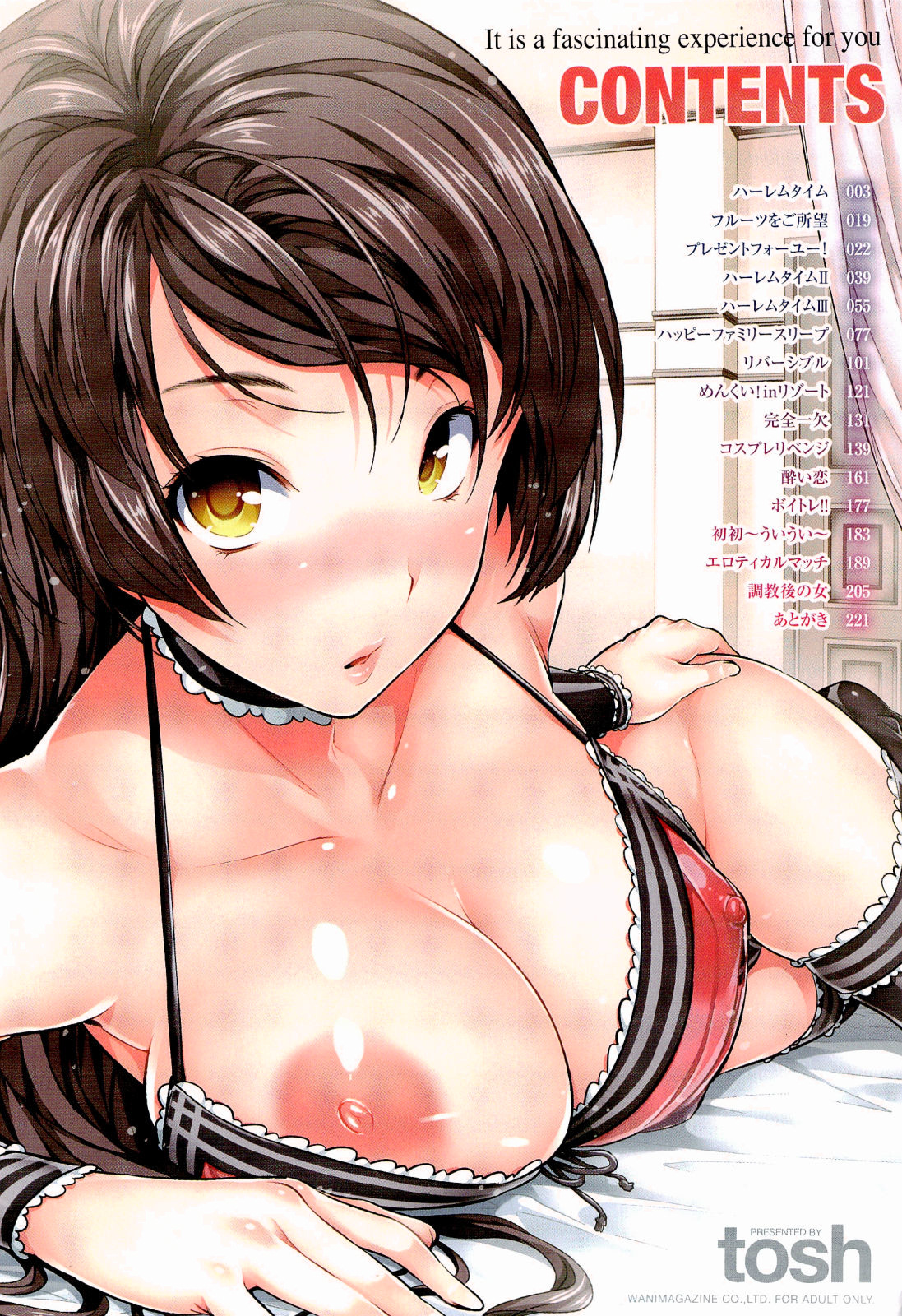 [トッシュ]ハーレムタイム（コンプリート、英語）{AmaiLittleThing、doujin-moe.us、others}