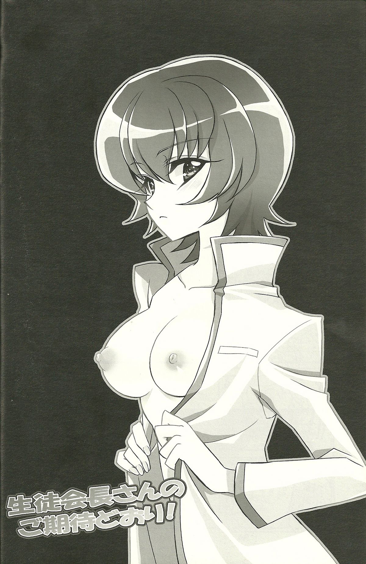 [リリアドール (武若丸)] 生徒会長さんのご期待どおり! (ハートキャッチプリキュア!)