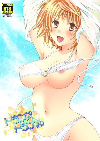 (C80) [氷月 (百乃木富夢)] トランストラブル (ToLOVEる-とらぶる-)