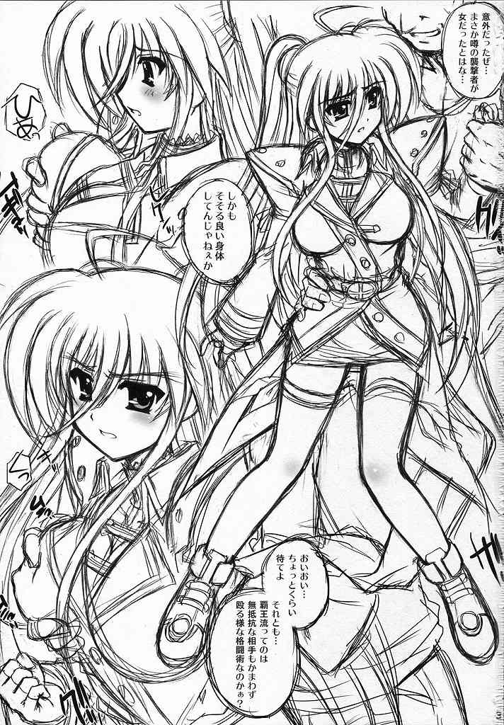 (なのはParty3) [鴨川屋 (鴨川たぬき)] YDM Ver.E (魔法少女リリカルなのは)