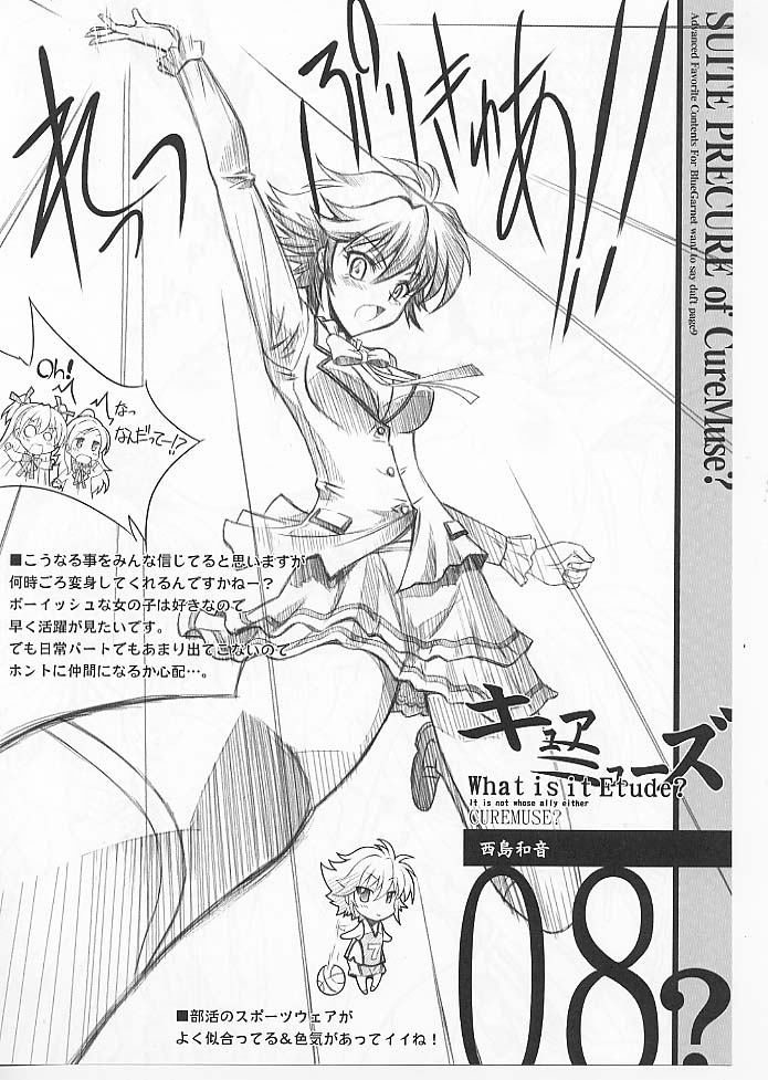 (C80)[BLUE GARNET(芹沢克己)] 夢幻抱擁(スイートプリキュア)