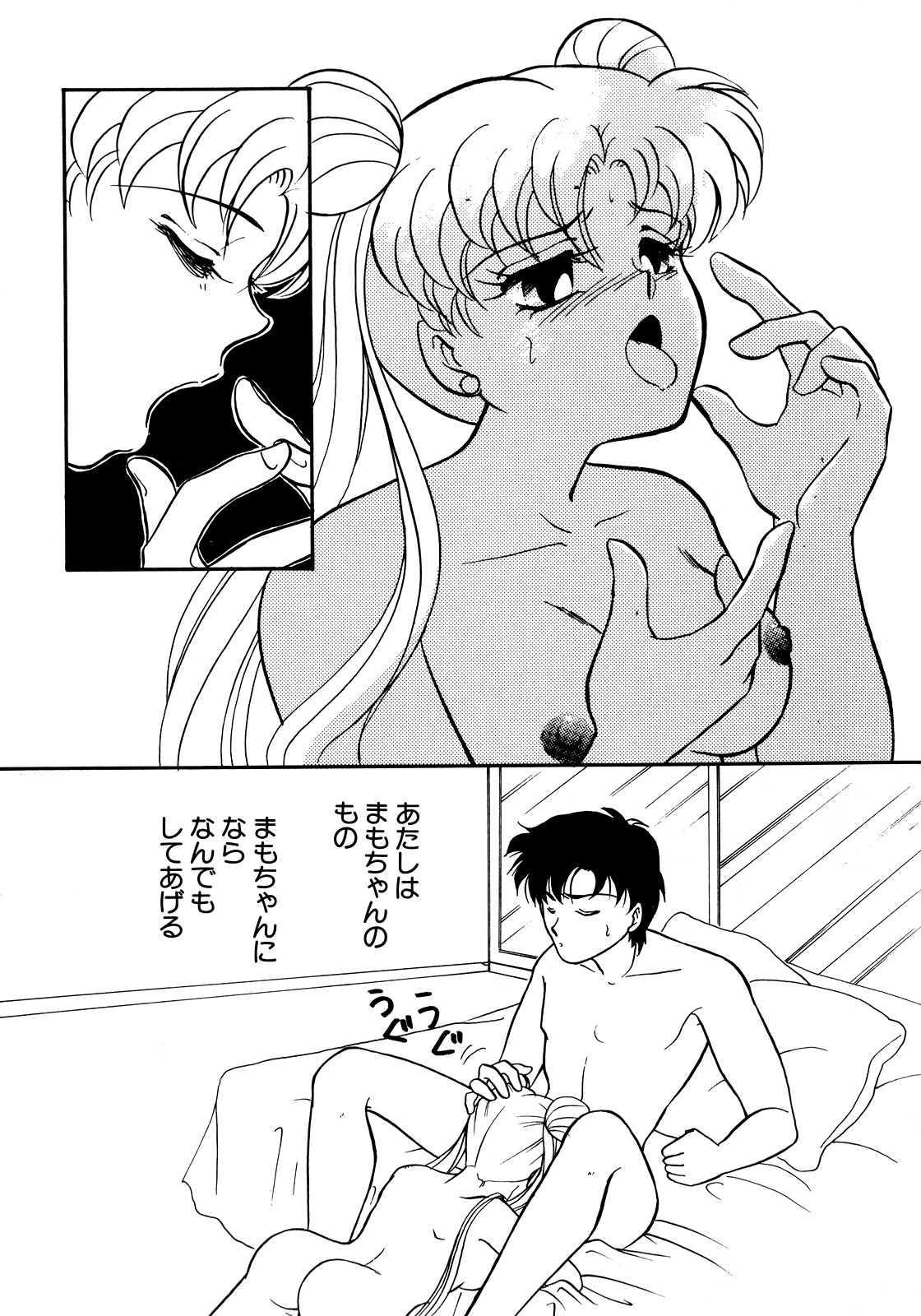 [アンソロジー] ルナティックパーティー5 (美少女戦士セーラームーン)