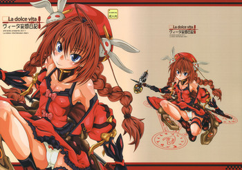 (C80) [熾鸞堂 (しらんたかし)] ヴィータ妄想日記 (なのは)