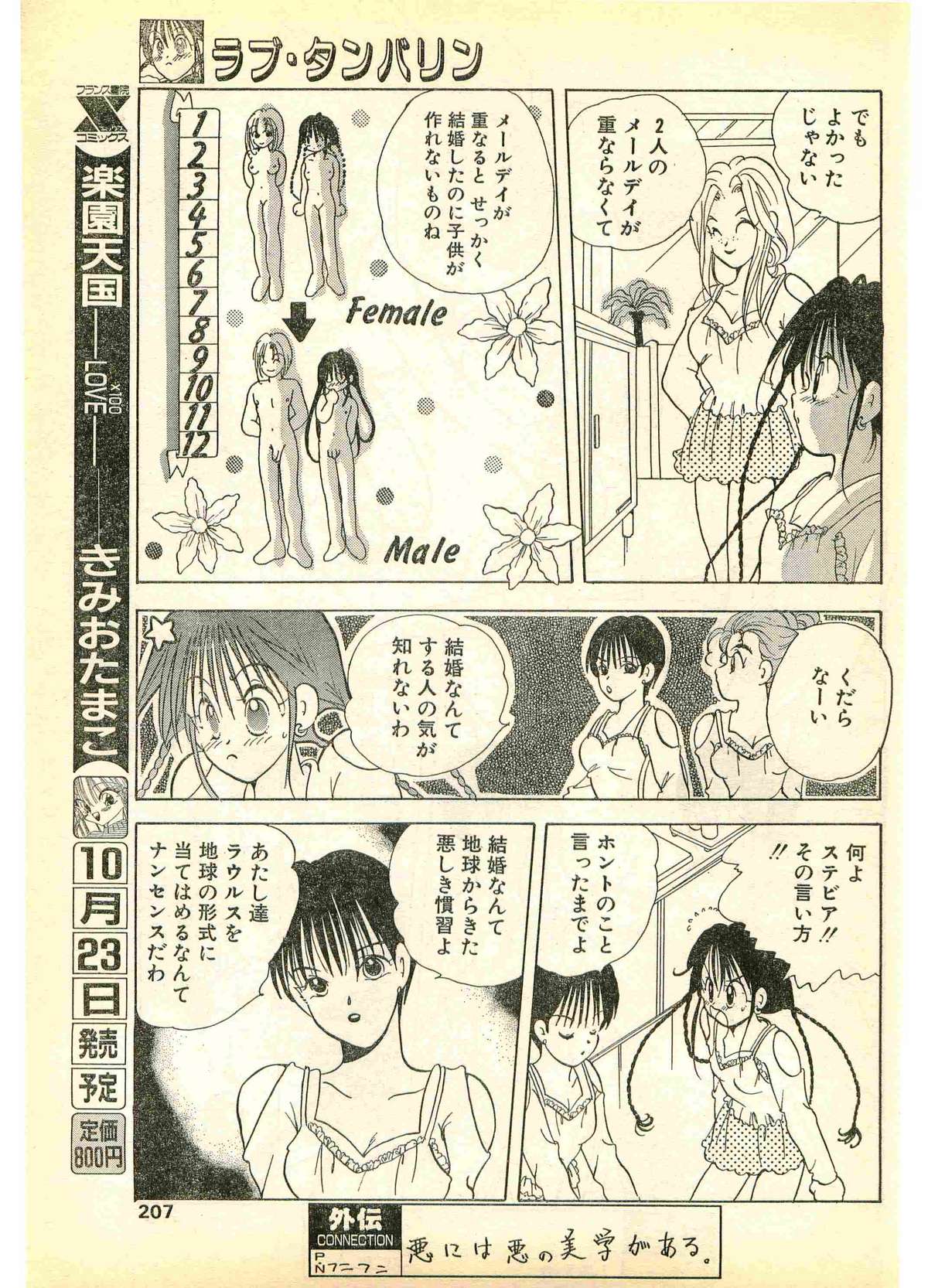 COMIC パピポ外伝 1995年11月号 Vol.17