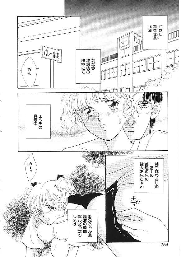 [合集]INDEEP 04 ブルマーコレクション[J]