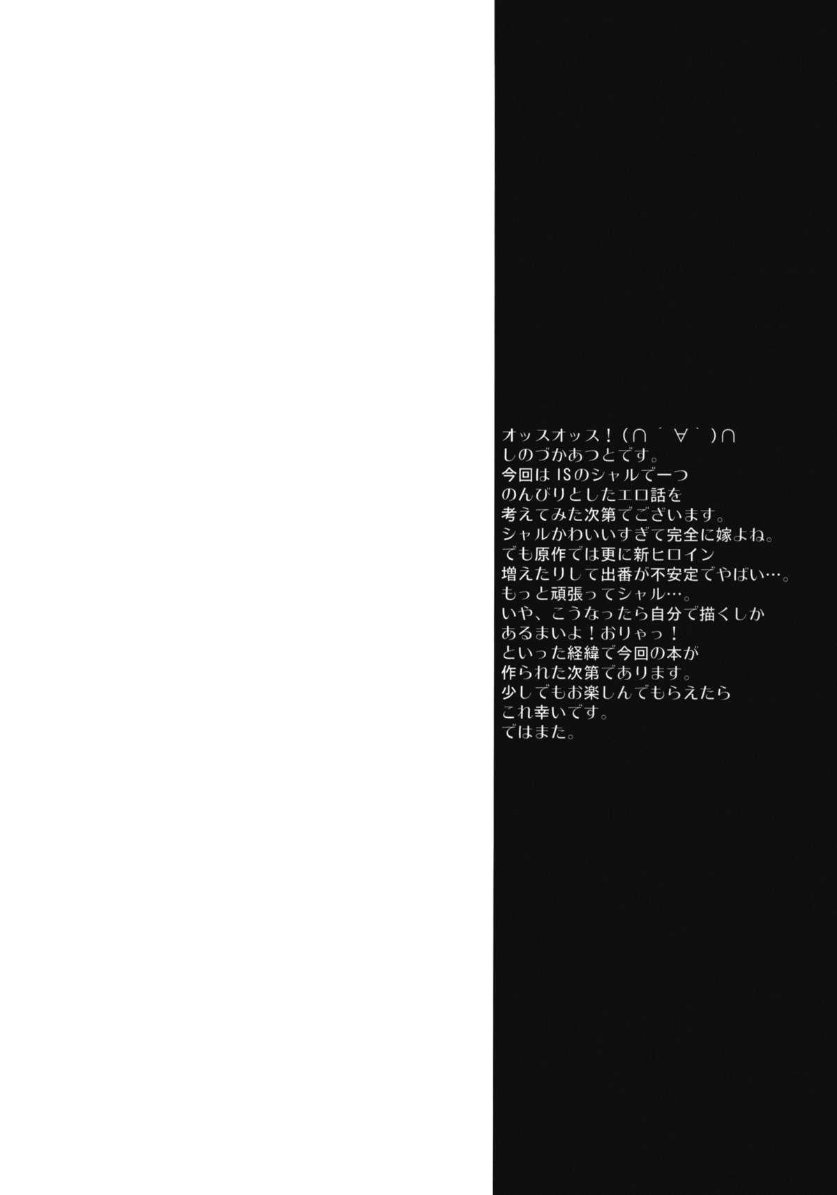 (C80) [魔空軍団 (しのづかあつと)] 魔空通信IS +カード (インフィニット・ストラトス)