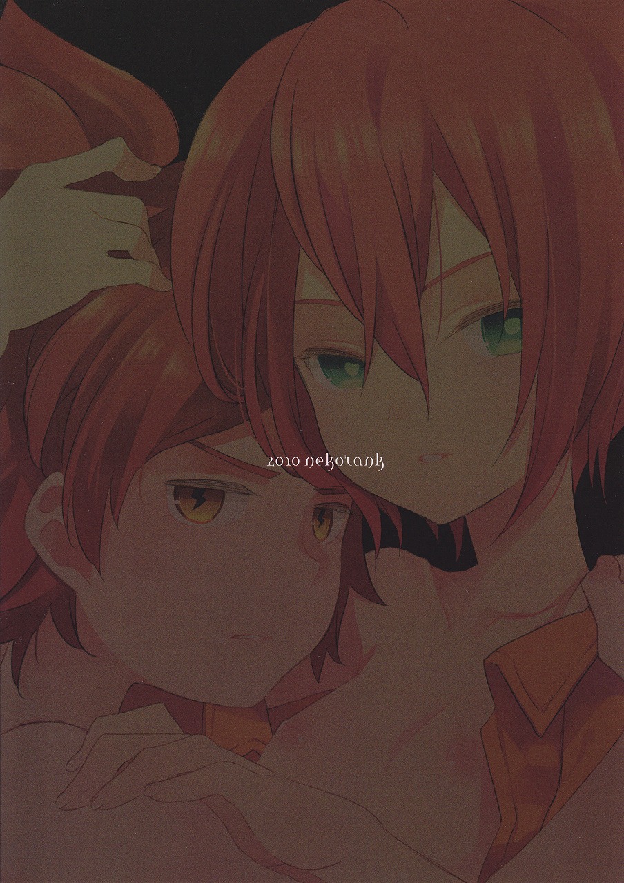 (C78) [ねこタンク (マイトウ)] ネツイロ (イナズマイレブン)