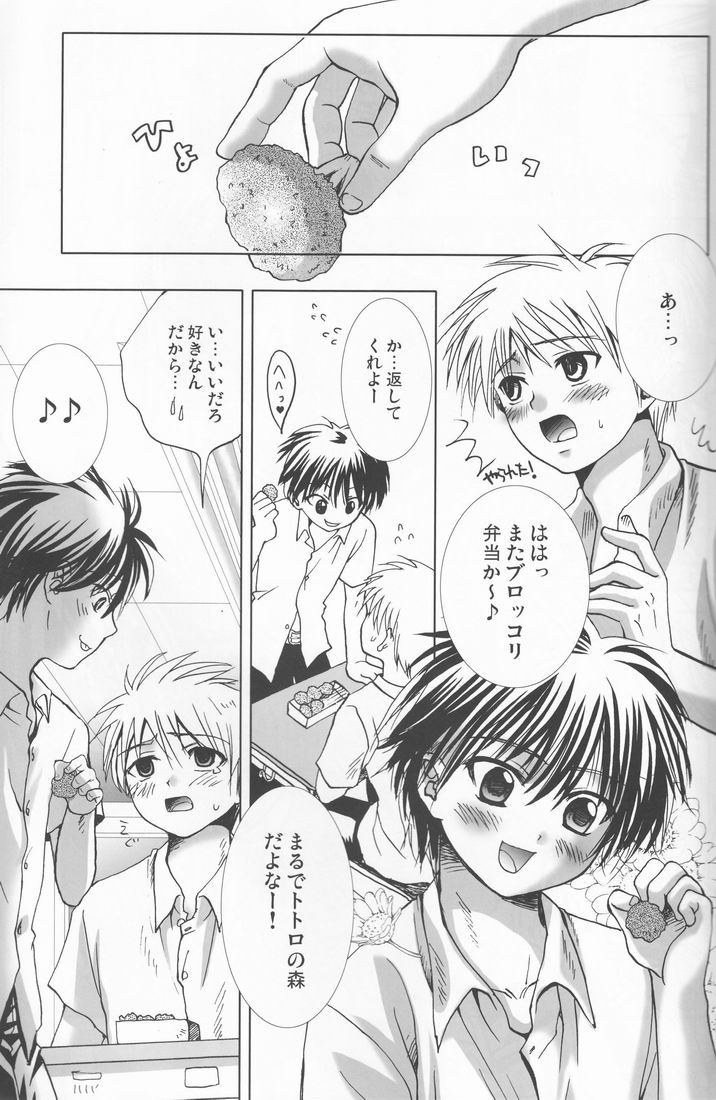 (C70) [少年劇楽隊 (林田虎之助)] 溺愛パレス