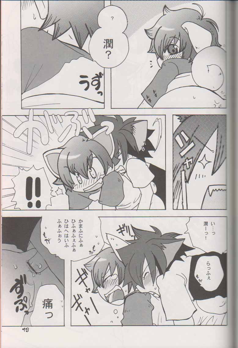 (C70) [カプセルアジア (ミナガタ)] わんこと×××できたらイイナ (おねがいマイメロディ)