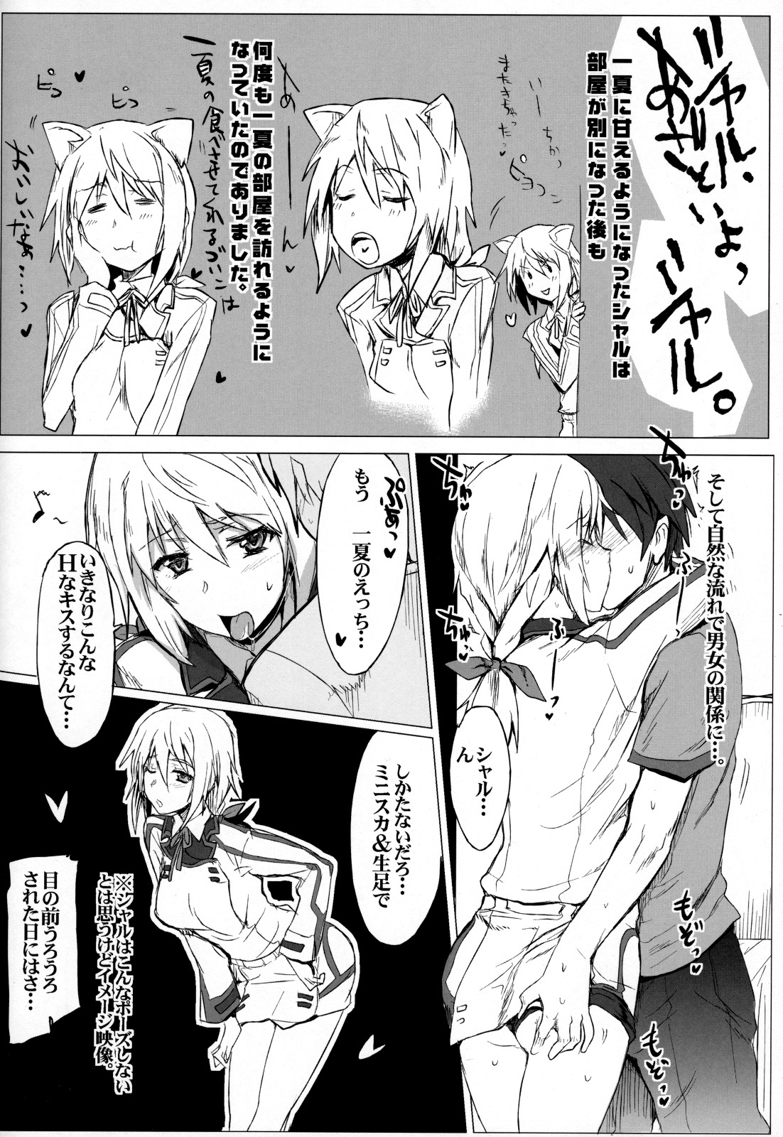 (COMIC1☆5) [RIBI堂 (陽方暁)] IS Girl's (インフィニット・ストラトス)
