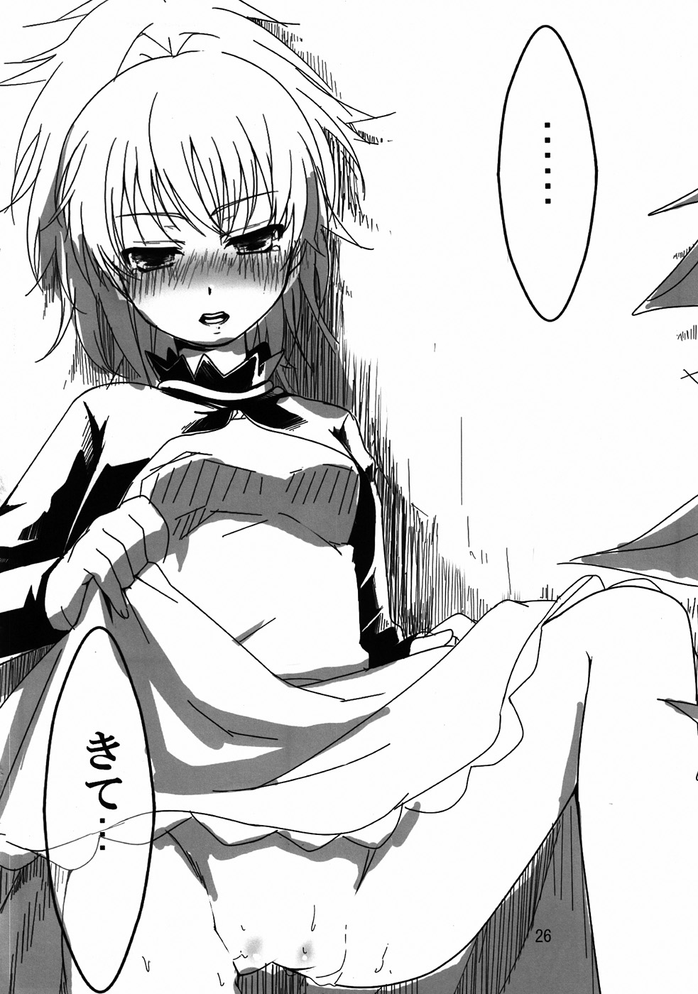 (ぷにケット22) [TWILIGHT DUSK (藍倉真昼、藍倉秋夜)] 嫁 vs 嫁 (DARKER THAN BLACK)
