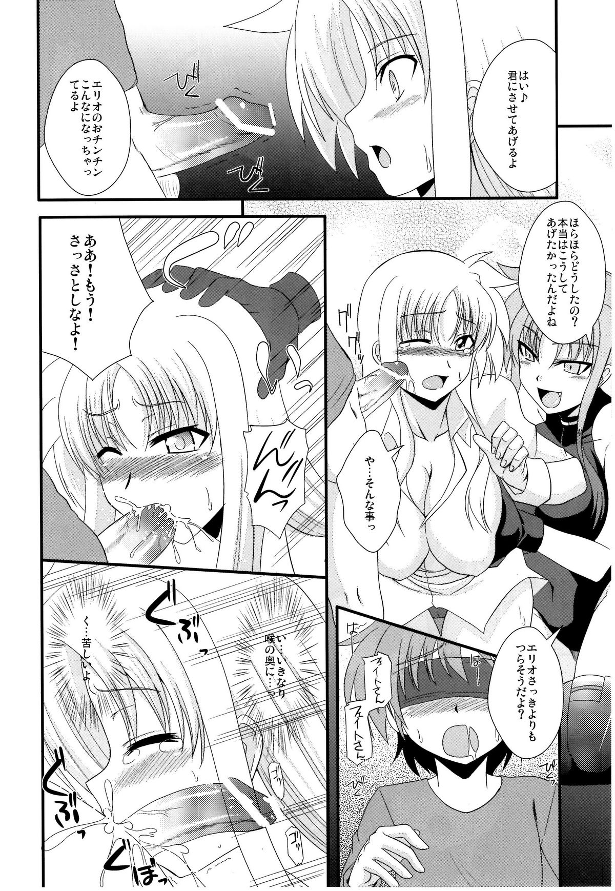 (リリカルマジカル10) [Take Out (是露巣)] F&L (魔法少女リリカルなのは)