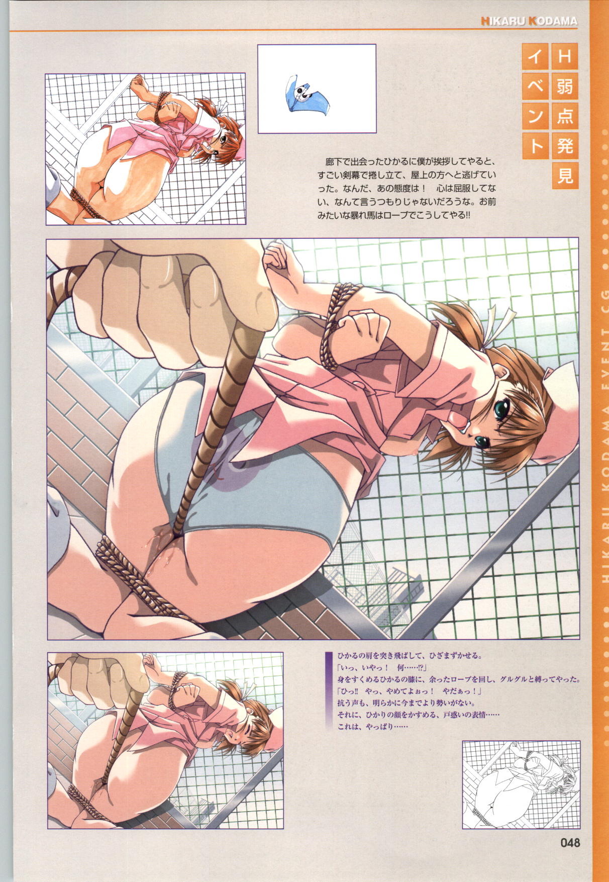 [ミンク] 夜勤病棟CG&原画集