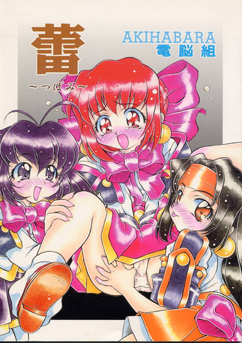 (C54) [姫倶楽部 (霧風)] 蕾 (アキハバラ電脳組)