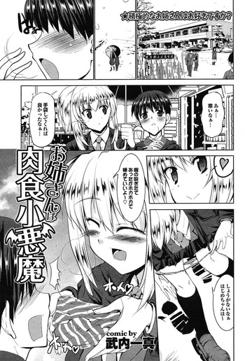 [武内一真] お姉さんは肉食小悪魔 (COMIC プルメロ 2011年05月号)
