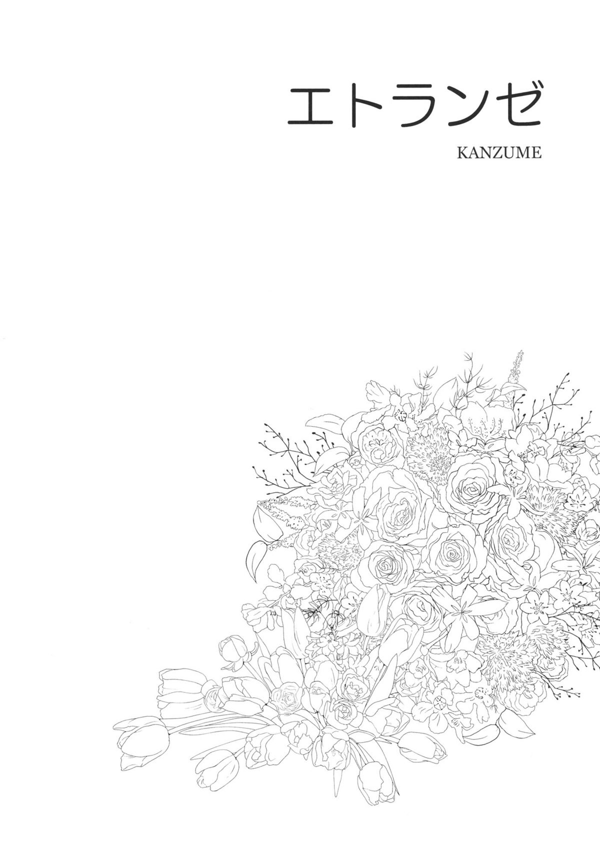 (例大祭8) [雪陽炎 (KANZUME)] エトランゼ (東方Project)