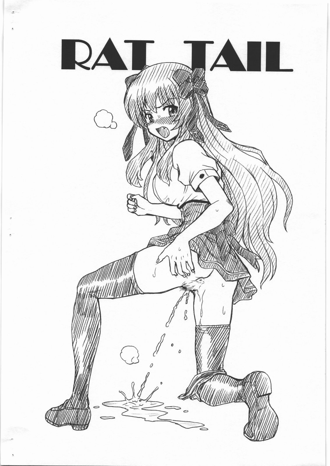 [RAT TAIL (IRIE YAMAZAKI)] MAYOINEKO FILE 芹沢 文乃 画像集 (迷い猫オーバーラン!)