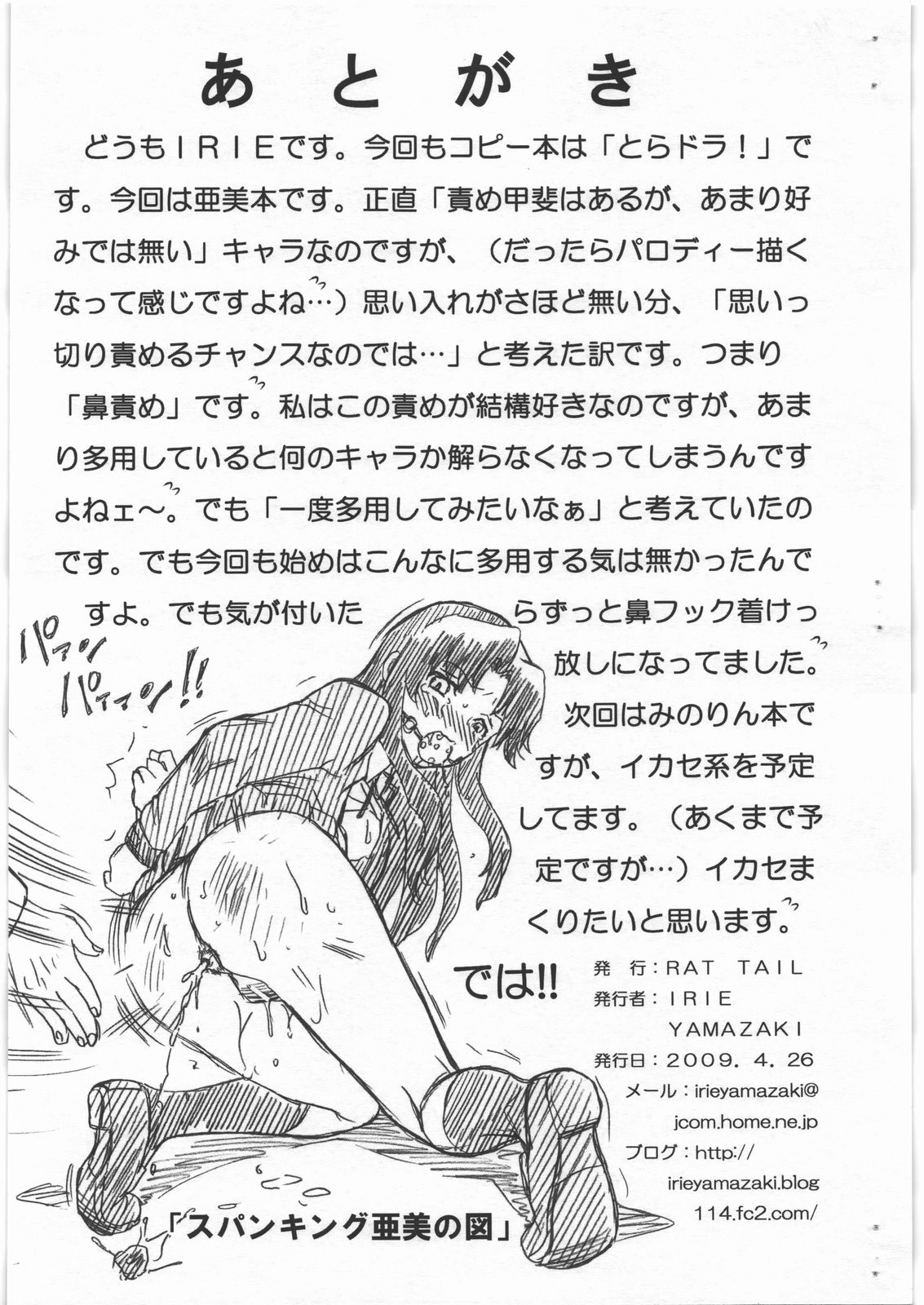 (COMIC1☆3) [RAT TAIL (IRIE YAMAZAKI)] TORADORA! FILE 川嶋亜美画像集 (とらドラ!)