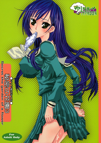 (C66) [ピンク・タイフーン (奥千代子)] Himitsu no Hanazono 3 (マリア様がみてる)