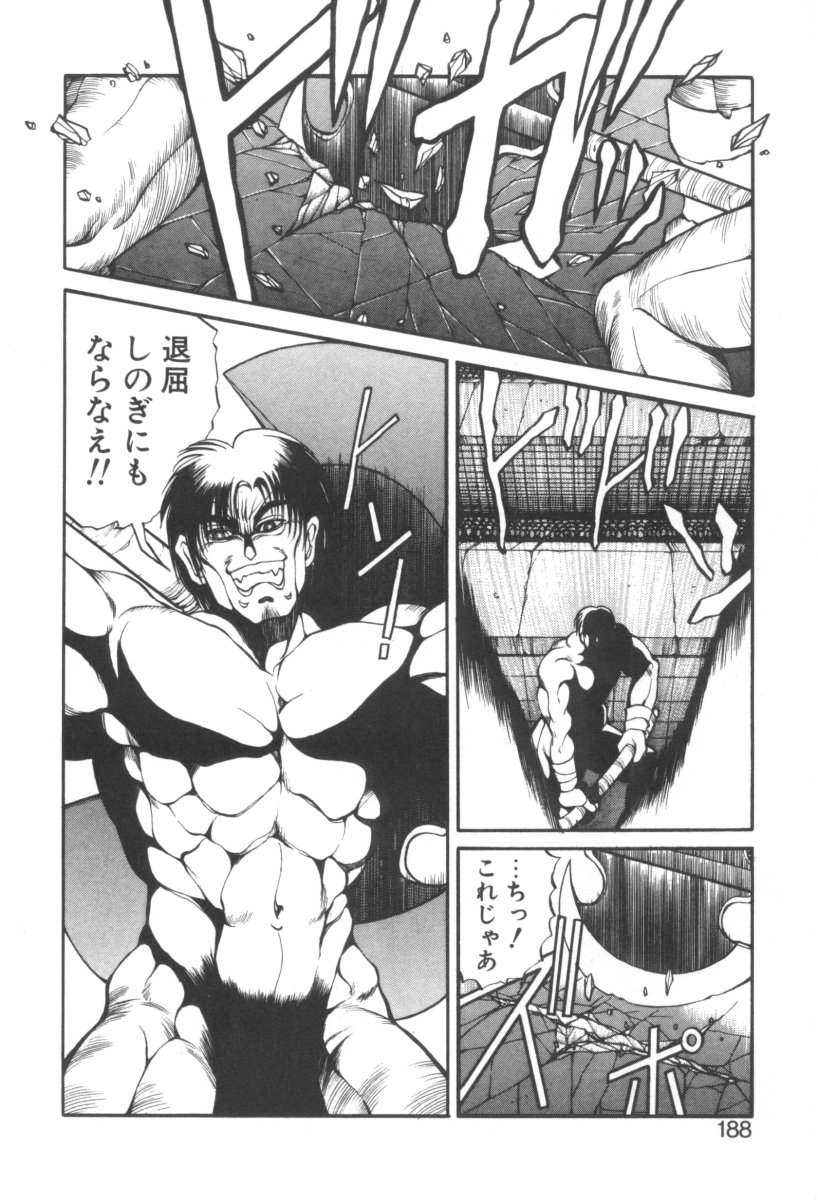 [藤咲真] DARK WIRBEL 動乱編