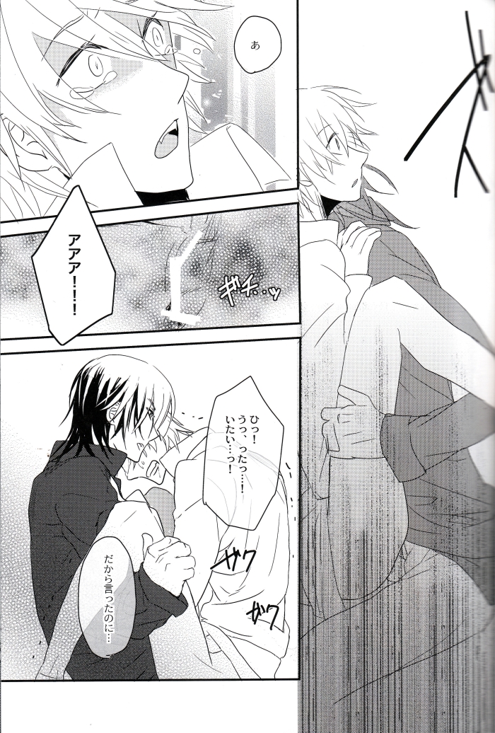[lucciola (三川ミミ)] The Beasts Party (ヴァンパイア騎士)