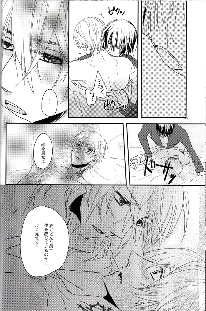 [lucciola (三川ミミ)] The Beasts Party (ヴァンパイア騎士)