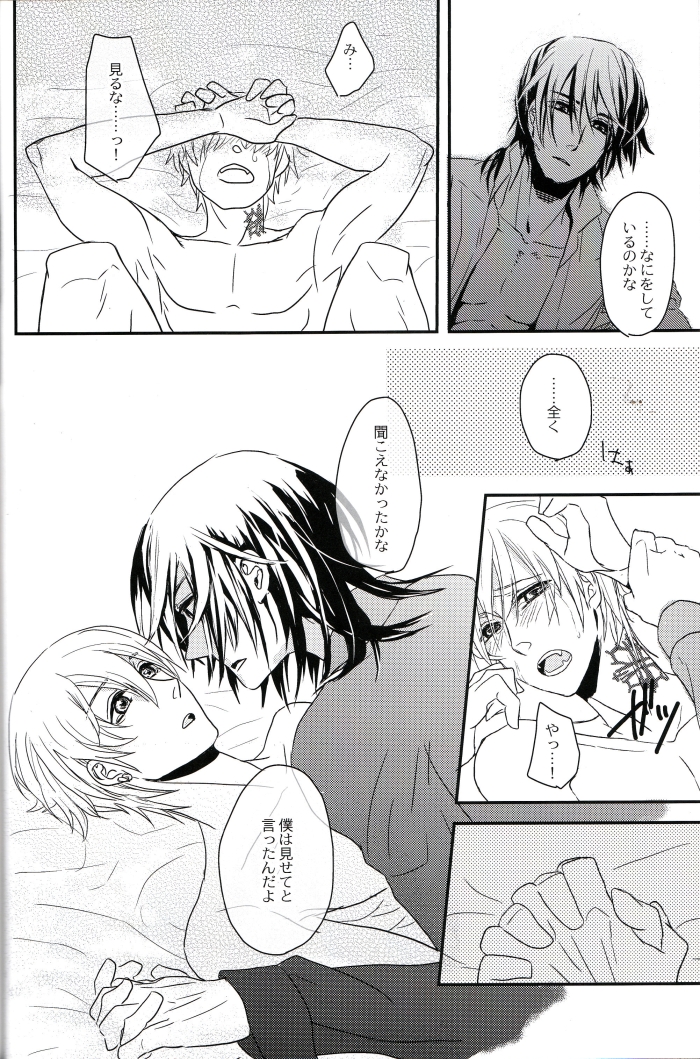[lucciola (三川ミミ)] The Beasts Party (ヴァンパイア騎士)