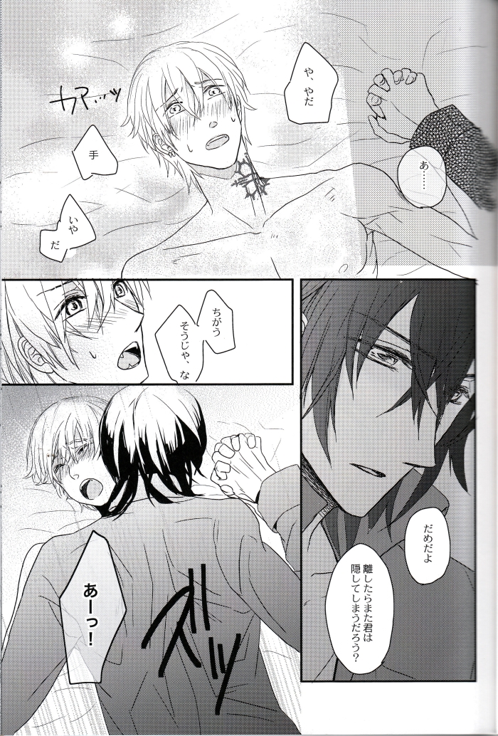 [lucciola (三川ミミ)] The Beasts Party (ヴァンパイア騎士)