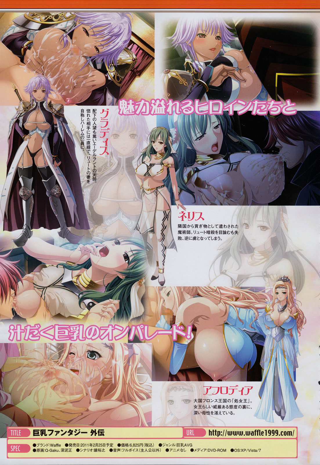 コミックアンリアル 2011年2月号 Vol.29