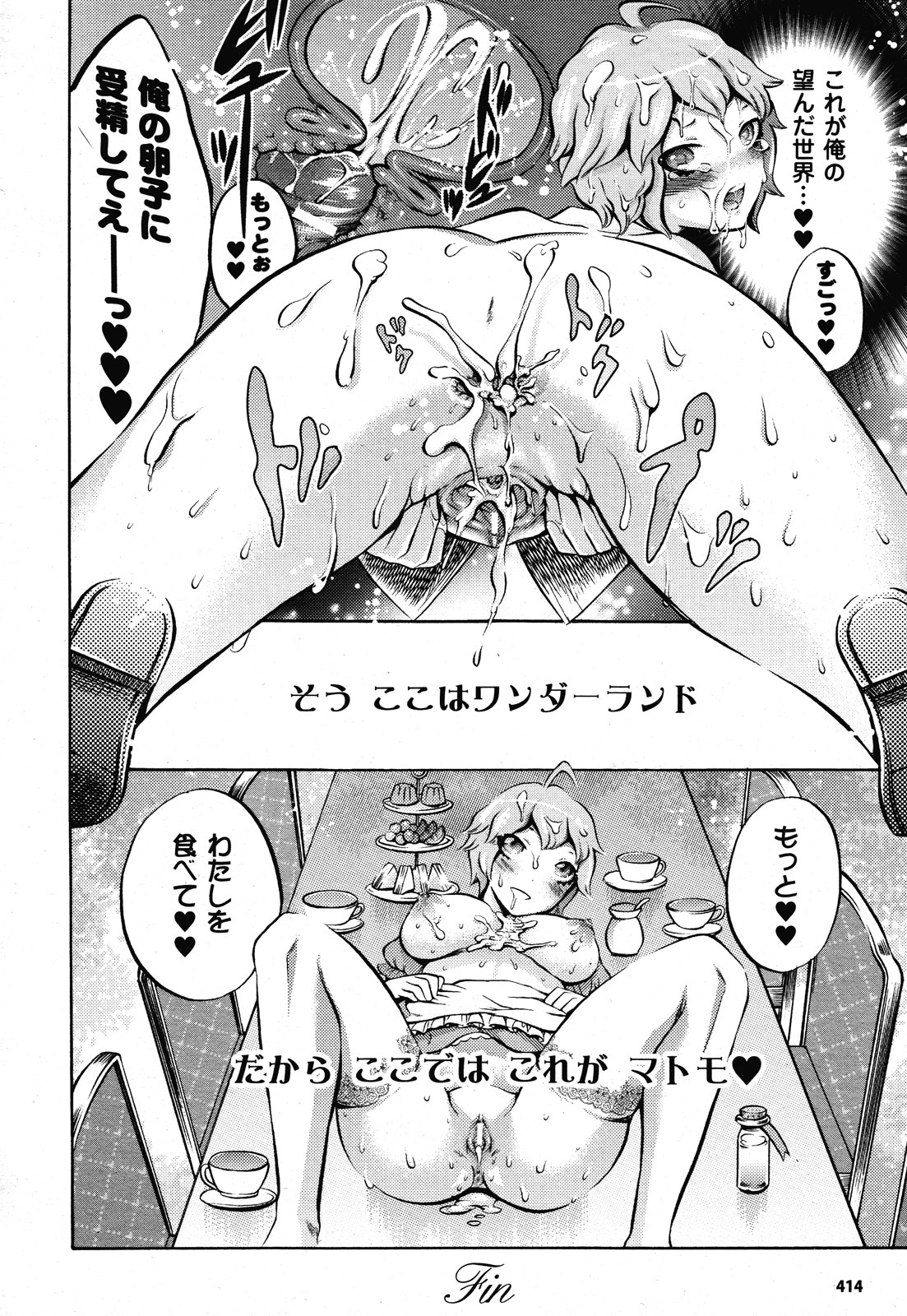 コミックアンリアル 2011年2月号 Vol.29