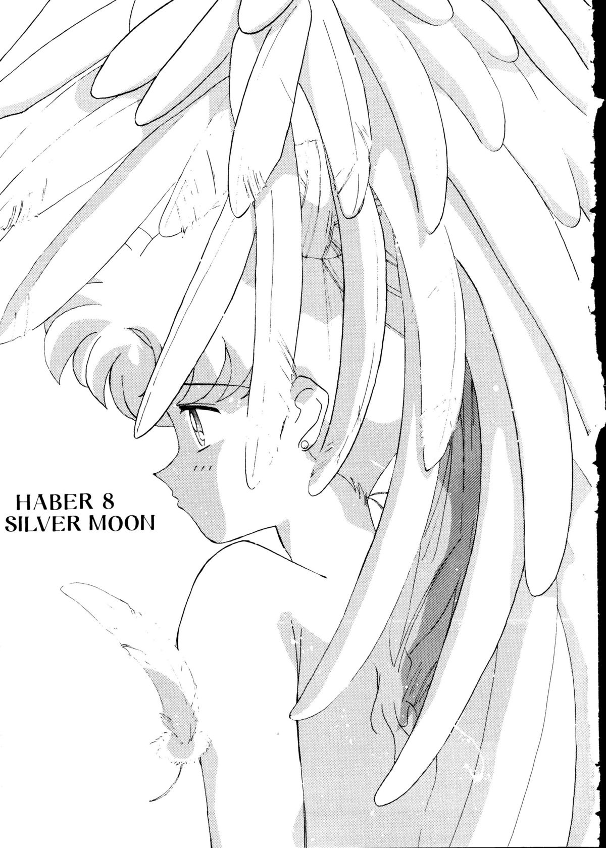 [梅助 (J・さいろー) HABER 8 SILVER MOON (セーラームーン)