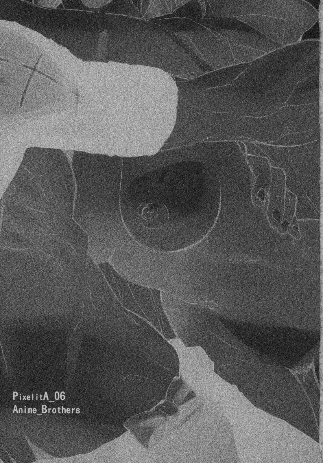 (C70) [アニメブラザーズ (いつきこうすけ)] ピクセリタ 06