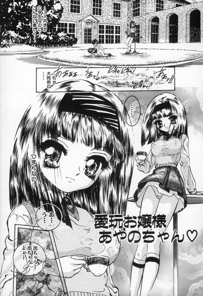 [ちぇびい ぎゃんぐ] 妖精少女