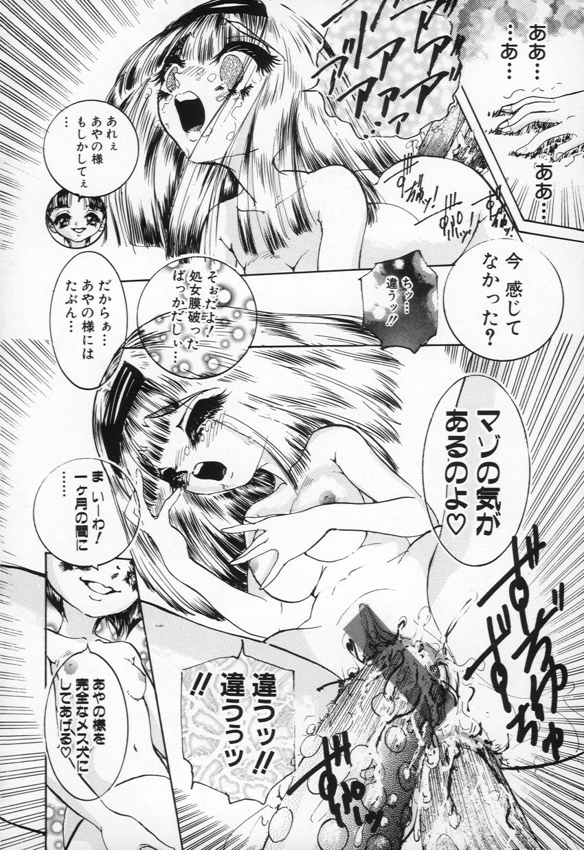 [ちぇびい ぎゃんぐ] 妖精少女