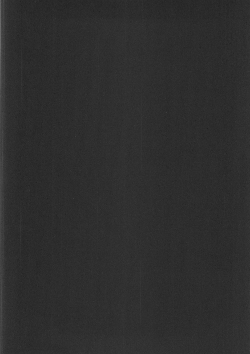 (C79) [More&More (嵩世菜)] 傷痕 (AR∀GO)