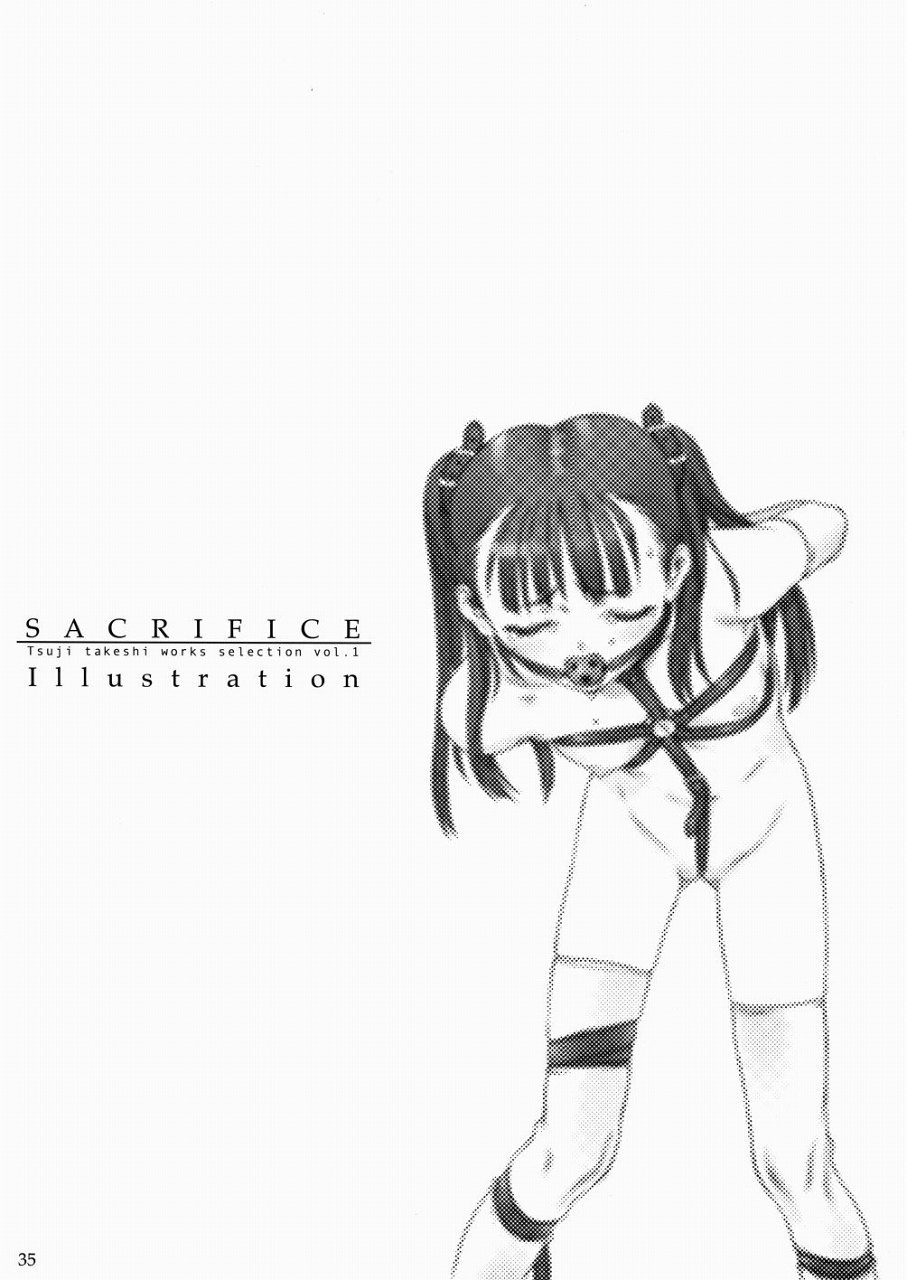 (C65) [パンツ騎士団 (辻武司)] SACRIFICE Tsuji takeshi works selection vol.1 [英訳]
