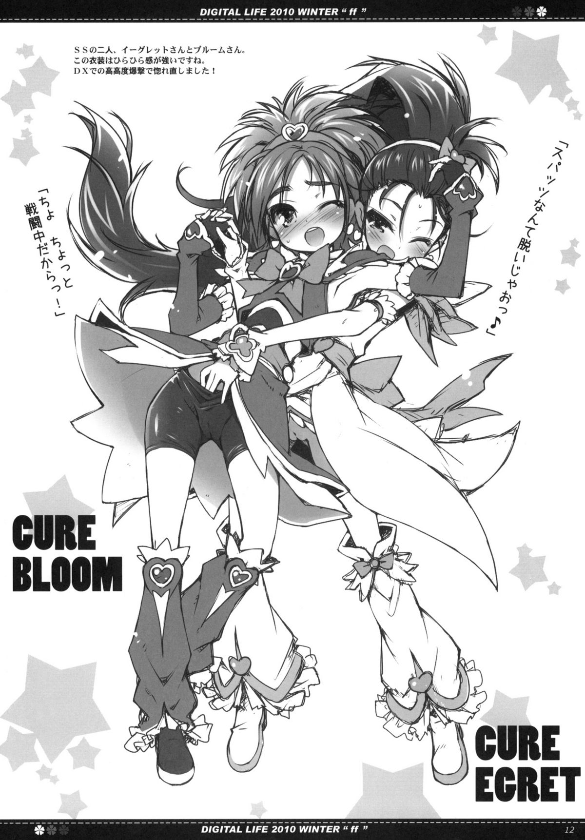 (C79) (同人誌) [life ＆ Digital Flyer (葉賀ユイ & 大田優一)] DIGITAL LIFE 2010 WINTER ff (プリキュア)