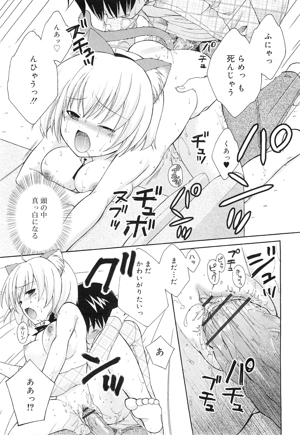 COMIC RiN 2010年12月号