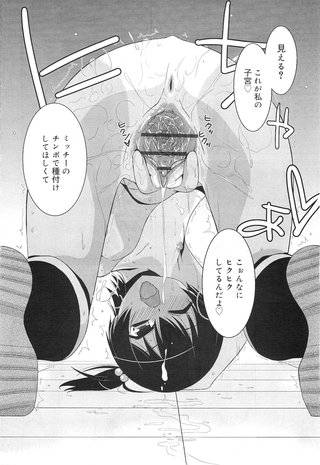 COMIC RiN 2010年12月号