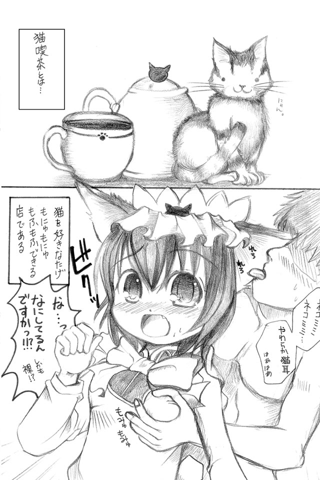 [にゃー。とひだかかり]東方にゃんにゃんパックVol.1