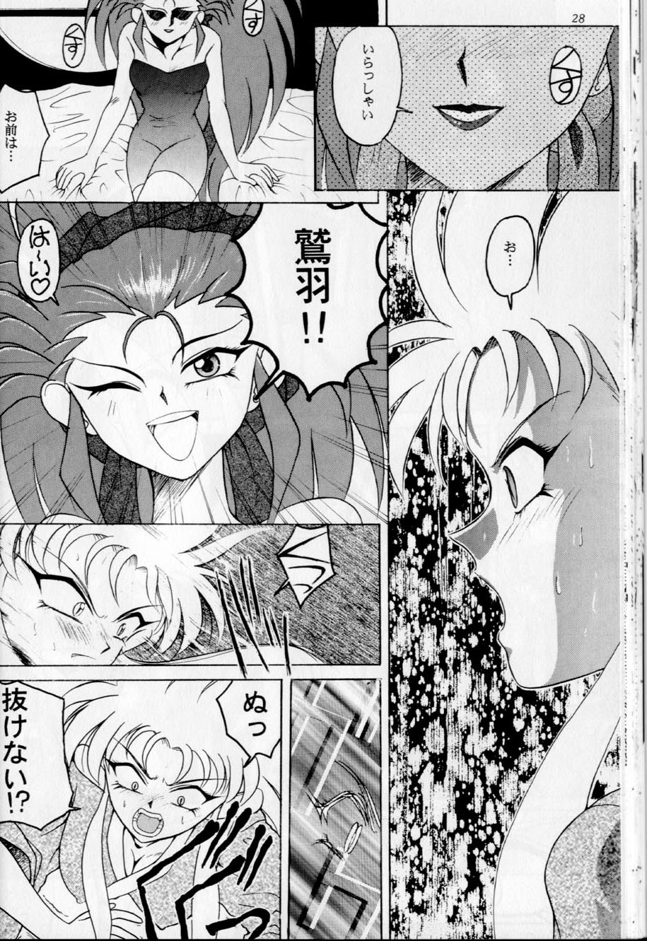 (Cレヴォ19) [ディエップ工房 (あるぴーぬ)] BLACK ROSE (天地無用!)