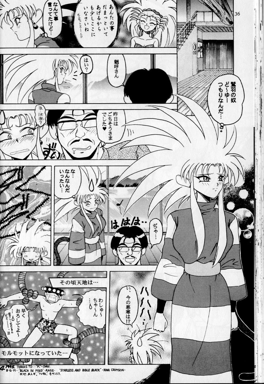 (Cレヴォ19) [ディエップ工房 (あるぴーぬ)] BLACK ROSE (天地無用!)