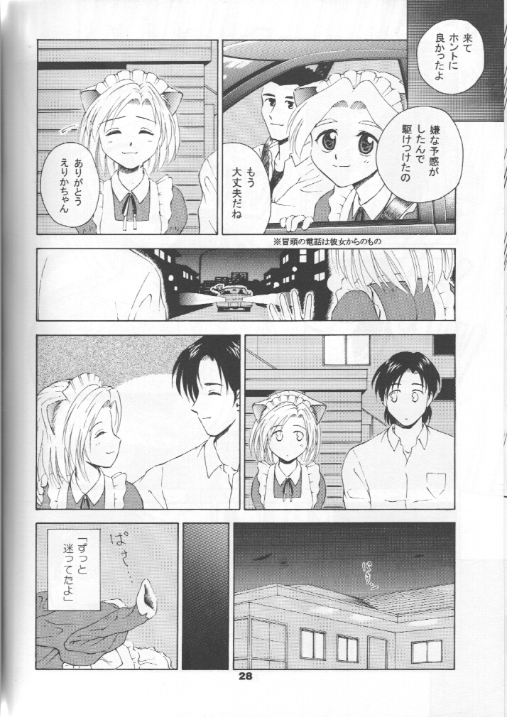 [テニーレ隊] ねこメイドファイル