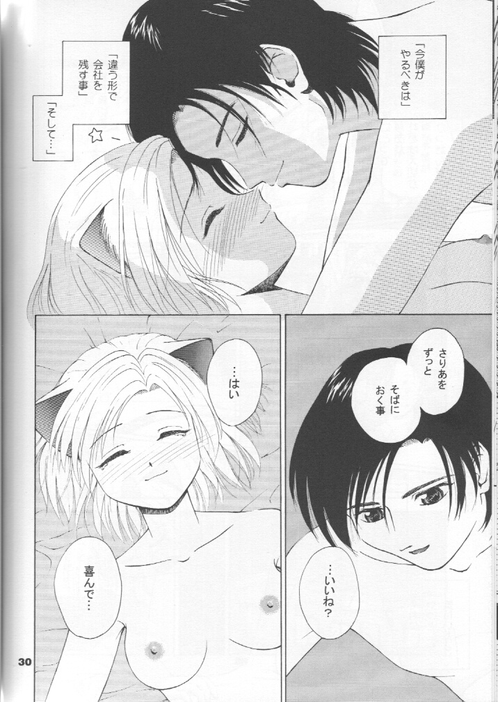 [テニーレ隊] ねこメイドファイル