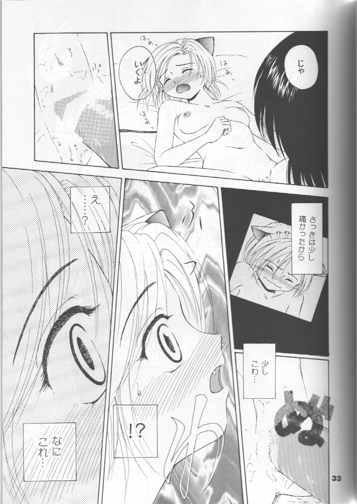 [テニーレ隊] ねこメイドファイル