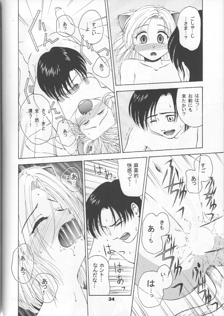 [テニーレ隊] ねこメイドファイル