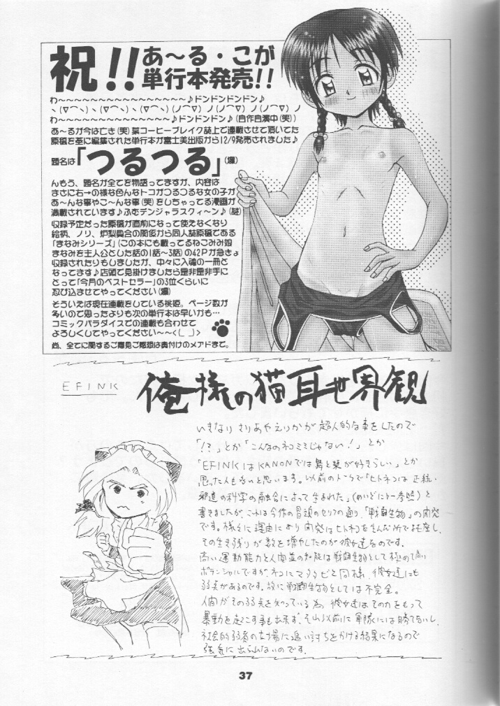 [テニーレ隊] ねこメイドファイル