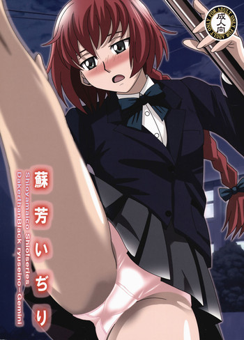 (C77) [塩屋 (塩屋舞子)] 蘇芳いぢり (DARKER THAN BLACK 流星の双子)